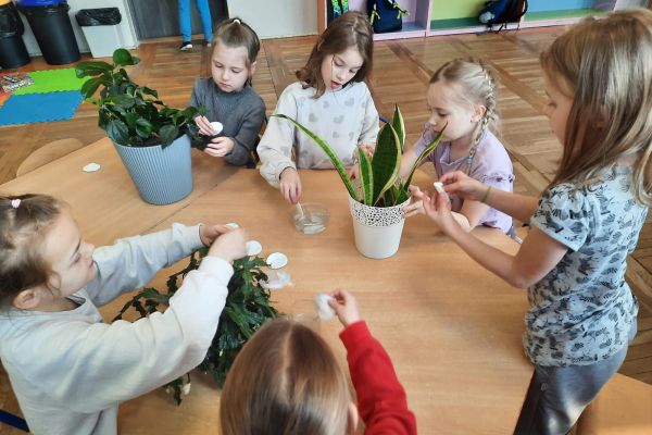 POIELĘGNACJA ROŚLIN DONICZKOWYCH
