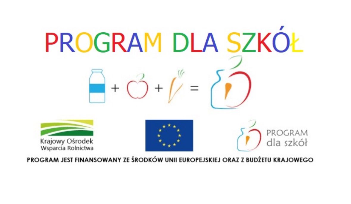 Program dla szkół