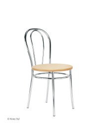 tulipan